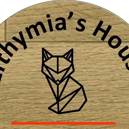 Synikia Mesi Trikalon Efthymia'S House - Τζάκι & Parking 아파트 외부 사진