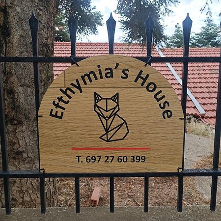 Synikia Mesi Trikalon Efthymia'S House - Τζάκι & Parking 아파트 외부 사진