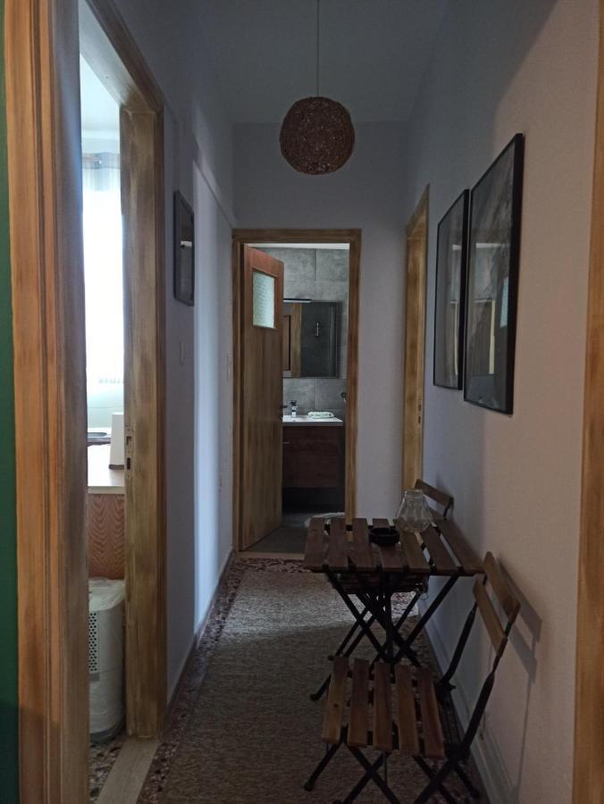 Synikia Mesi Trikalon Efthymia'S House - Τζάκι & Parking 아파트 외부 사진