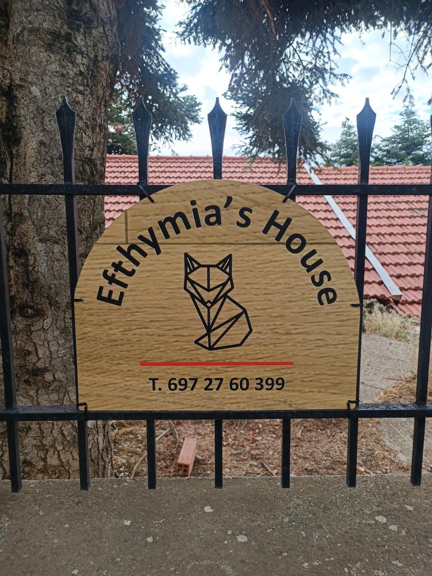 Synikia Mesi Trikalon Efthymia'S House - Τζάκι & Parking 아파트 외부 사진